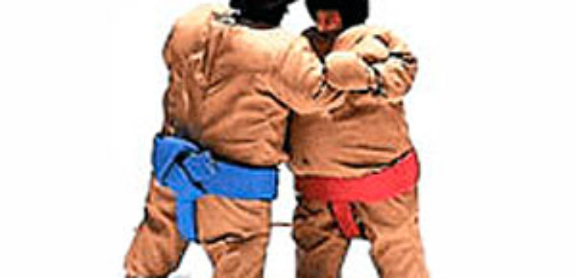 sumo-wrestler