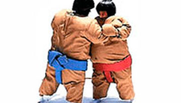 sumo-wrestler